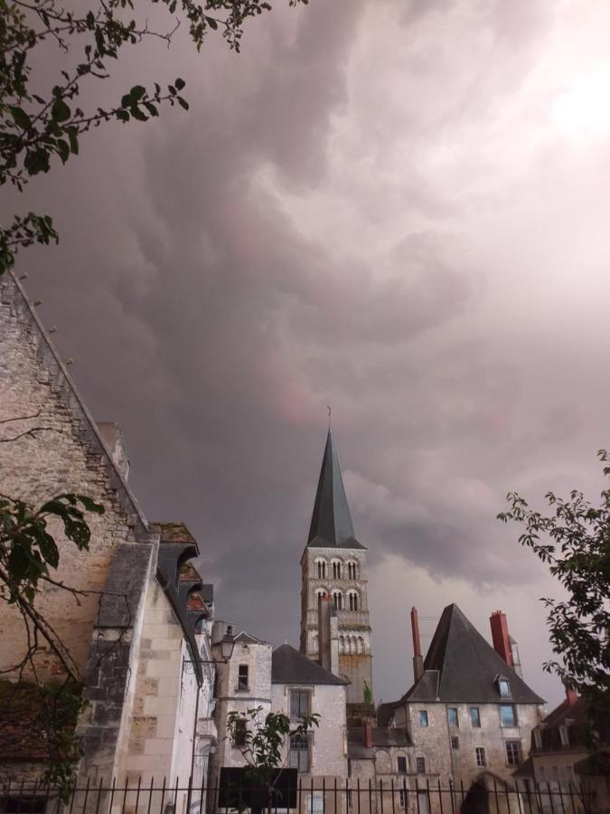 La Cour Du Chateau ลาชาริเต-ซูร์-ลัวร์ ภายนอก รูปภาพ
