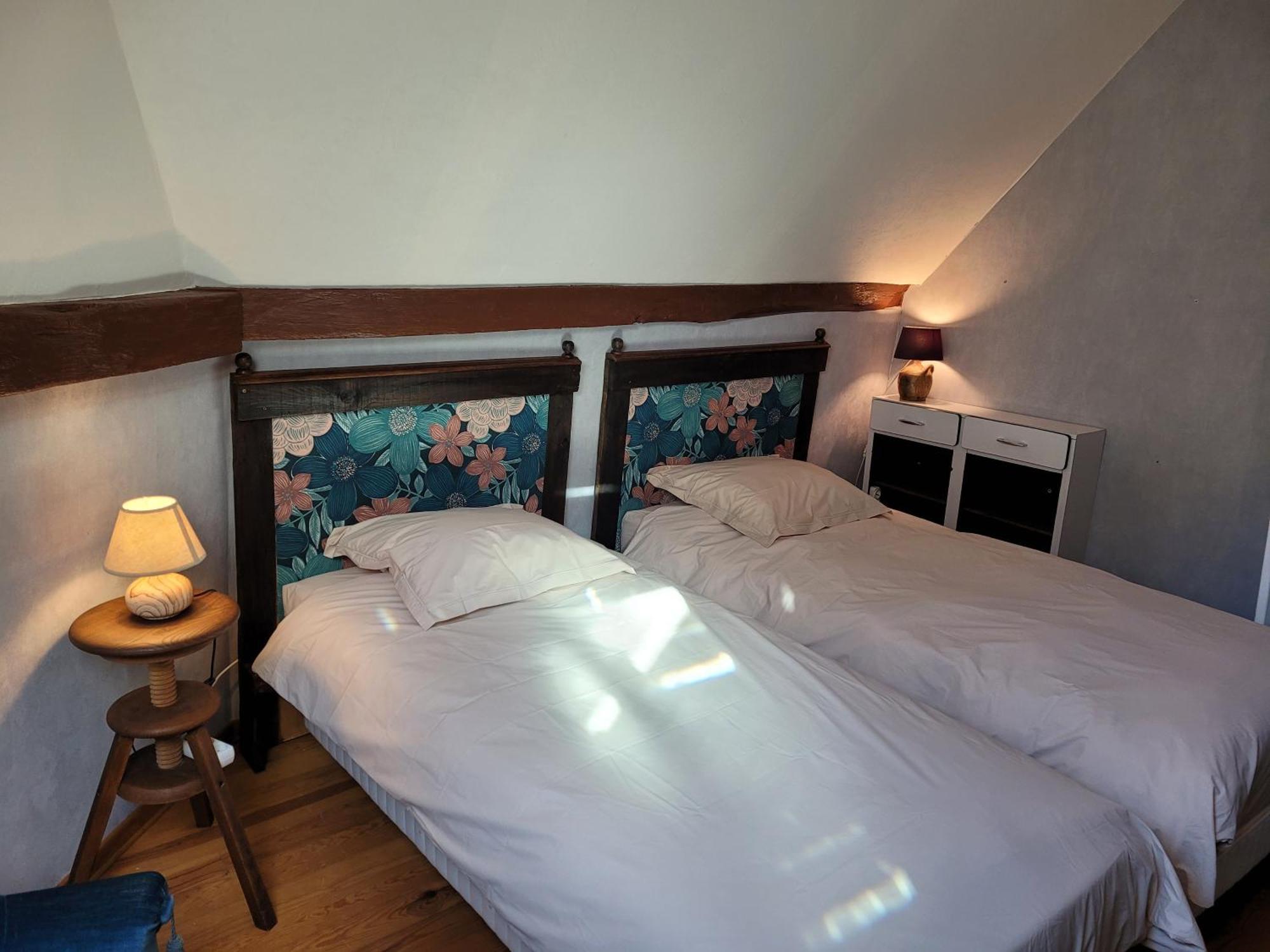 La Cour Du Chateau ลาชาริเต-ซูร์-ลัวร์ ภายนอก รูปภาพ